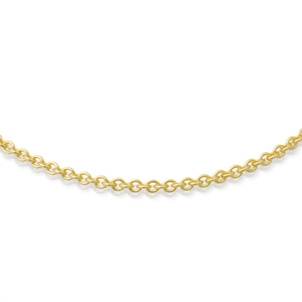 Goldkette Ankerkette 585 Gelbgold jetzt online kaufen. Super Preise & große Auswahl an Goldketten. Kostenlose Lieferung.