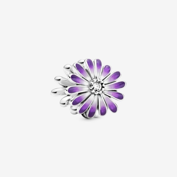798775C02_RGB_violette Blume_timebywinkler