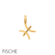 XC5212G_600x600_sternzeichen fische gold_timebywinkler